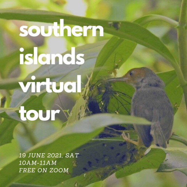 southern islands virtual tour